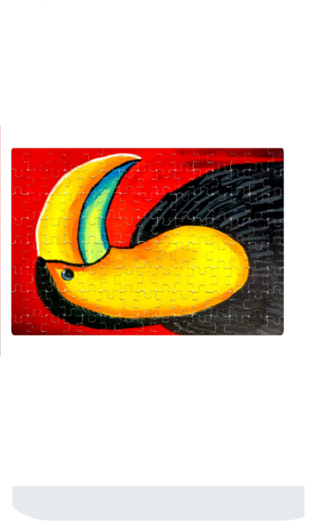 Toucan - Shreyas Rajagopal